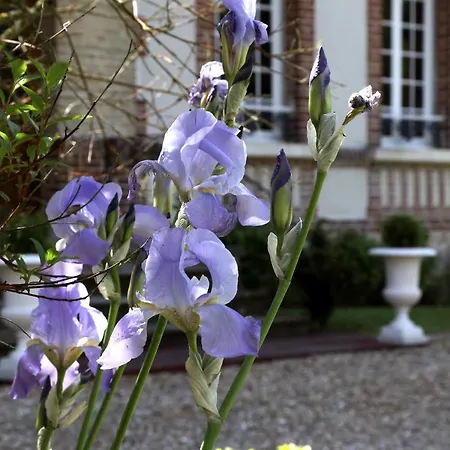 Manoir Le Mesnil Saint-Martin-aux-Chartrains