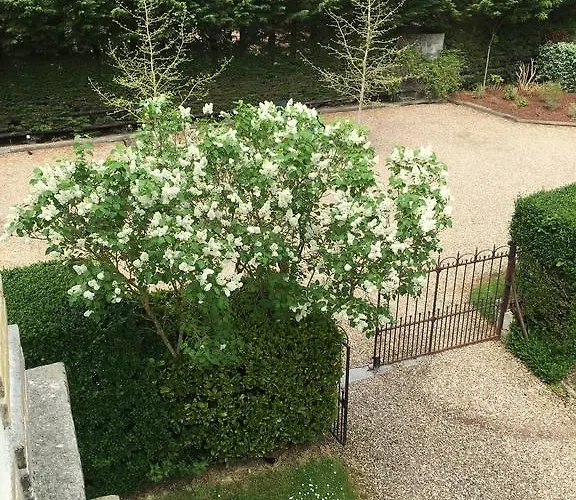 Bed & Breakfast Manoir Le Mesnil 3*