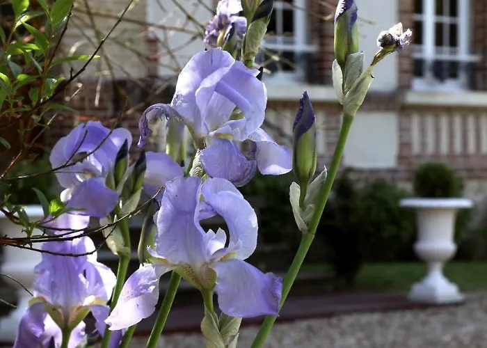 Manoir Le Mesnil Saint-Martin-aux-Chartrains